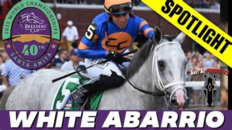 what does white abarrio mean.